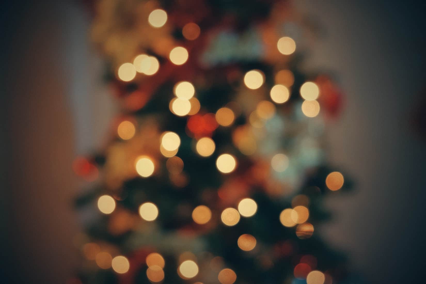 jad limcaco SO4vLnFioG8 unsplash | Lumberjack Distributor Canada